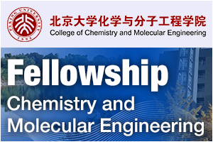 College of Chemistry and Molecular Engineering, Peking University - BMS Fellowship