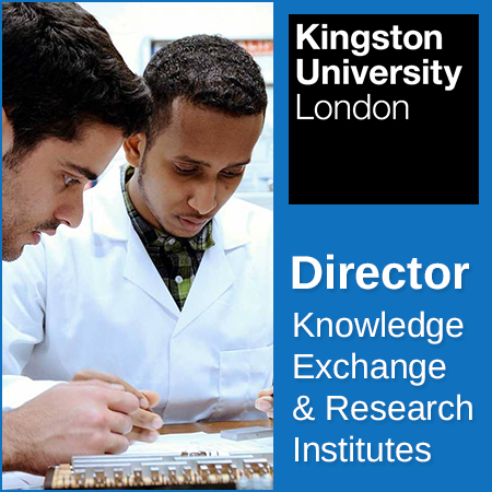 Knowledge Exchange & Research Institutes (KERIs) Director