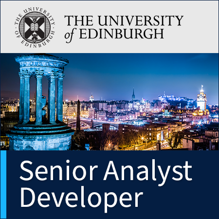 Senior Analyst Developer